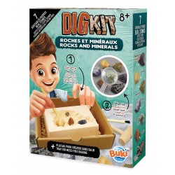 DIG KIT- ROCKS AND MINERALS